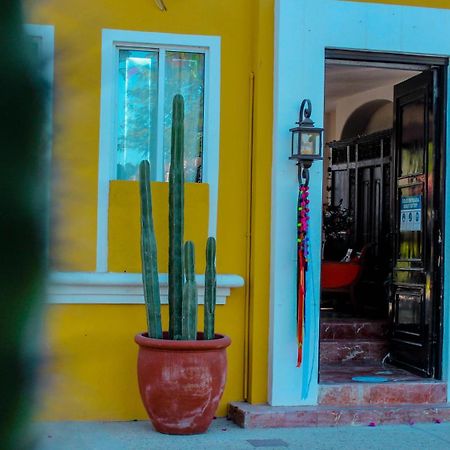 El Encanto Inn & Suites San José del Cabo Eksteriør billede