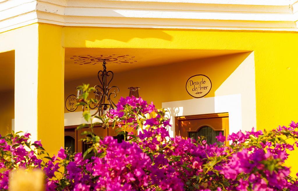 El Encanto Inn & Suites San José del Cabo Eksteriør billede