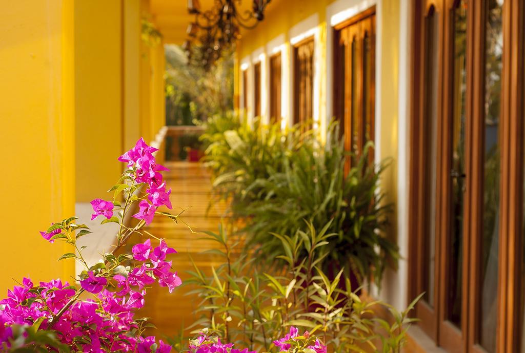 El Encanto Inn & Suites San José del Cabo Eksteriør billede