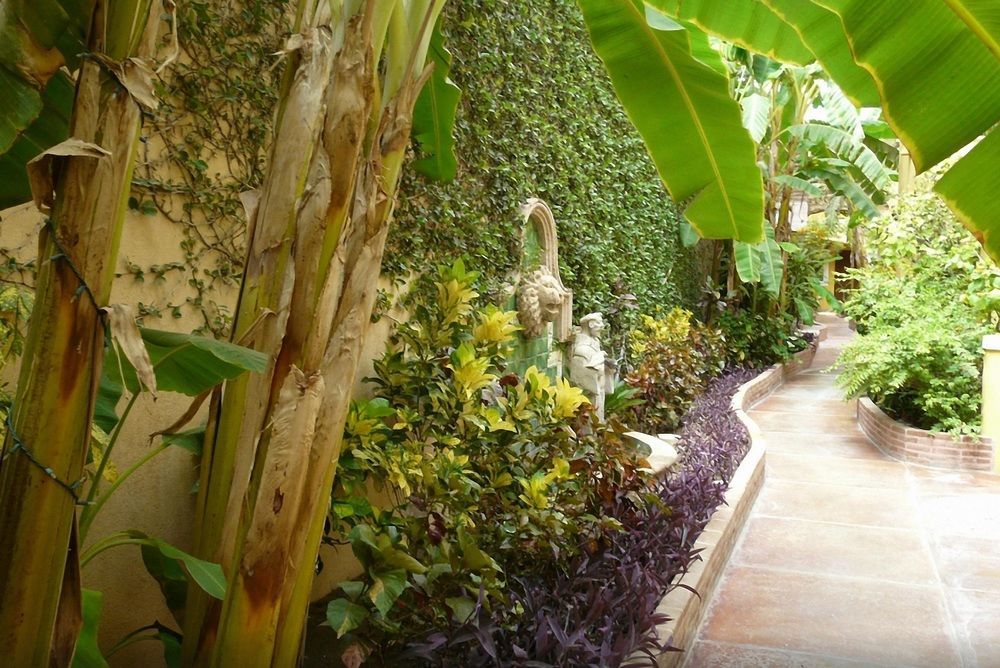 El Encanto Inn & Suites San José del Cabo Eksteriør billede