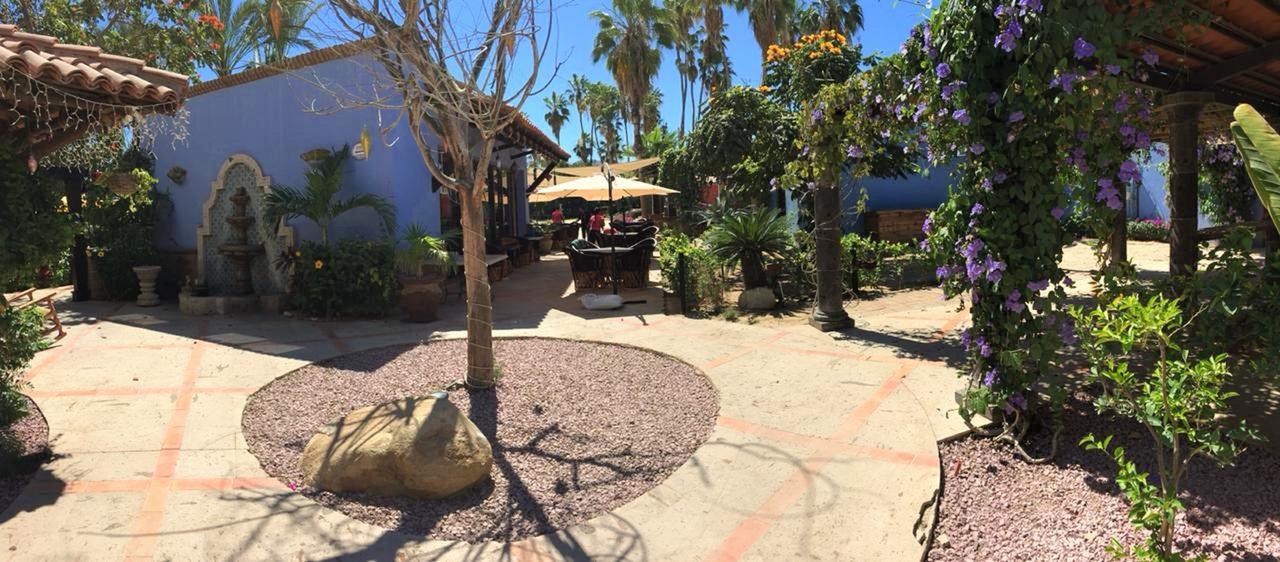 El Encanto Inn & Suites San José del Cabo Eksteriør billede