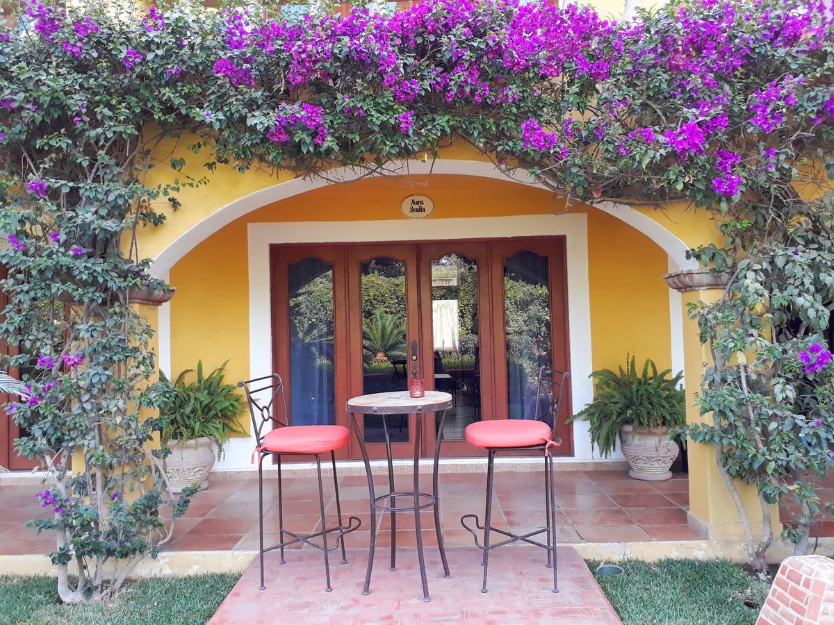El Encanto Inn & Suites San José del Cabo Eksteriør billede