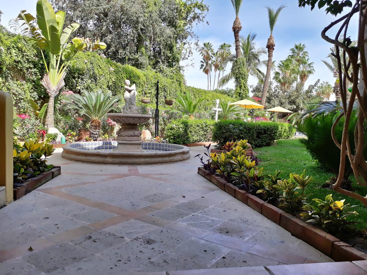 El Encanto Inn & Suites San José del Cabo Eksteriør billede